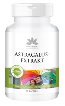 Astragalus-Extrakt 400mg aus 1600mg Astragalus, vegan 90 Kapseln