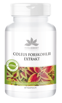 Coleus Forskohli Extrakt 50mg mit 10mg Forskolin, vegi  (60 Kapseln)
