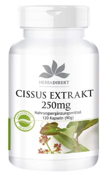 Cissus Extrakt 250mg 20% Ketosterone, vegan (120 Kapseln)